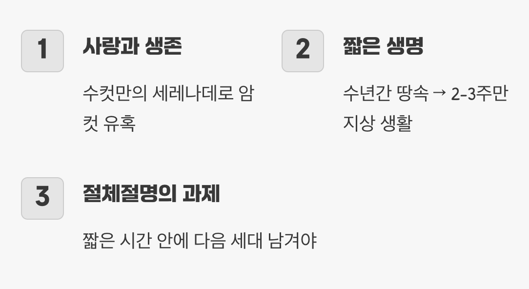 이토록 애처롭게 우는 진짜 이유