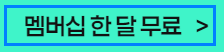 EPL 축구 중계 보는 방법