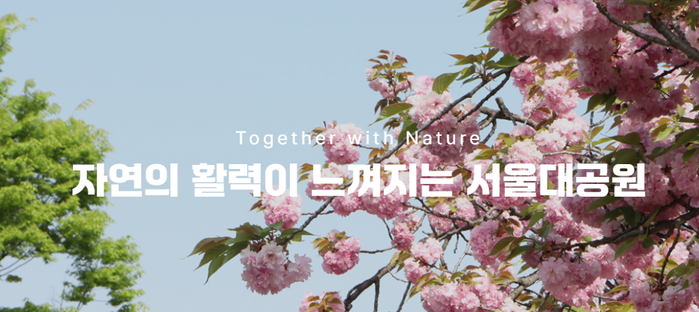 과천 서울대공원