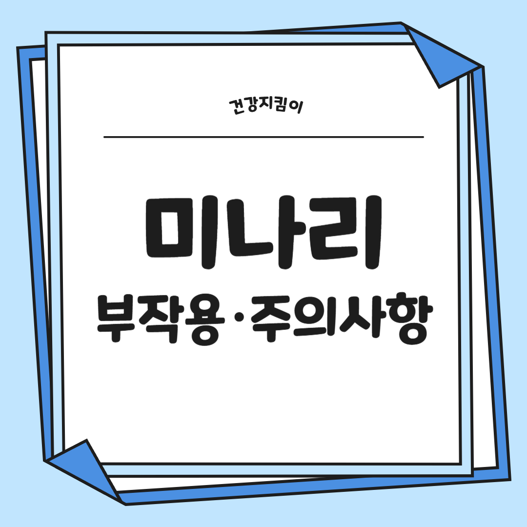 미나리 효능 부작용 고르는법 칼로리