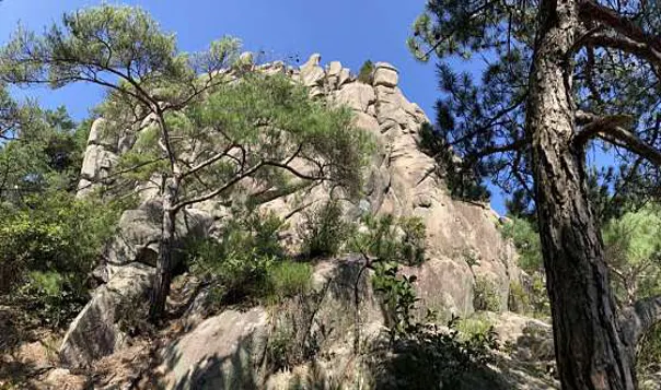용봉산