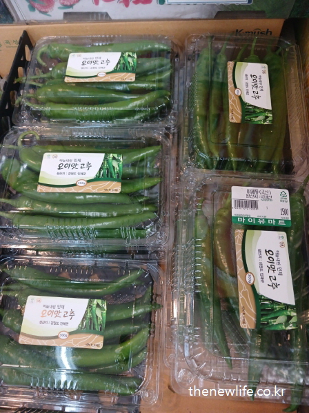 투명 용기에 포장된 고추 여러 팩이 마트에 진열된 모습