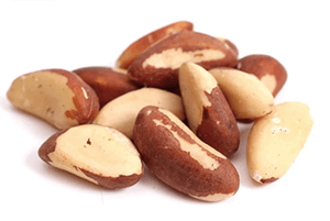 브라질 너트 효능02