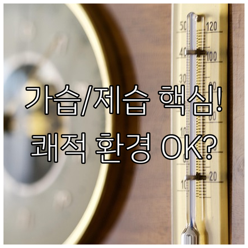 겨울철 쾌적 환경을 위한 제습기 가습..