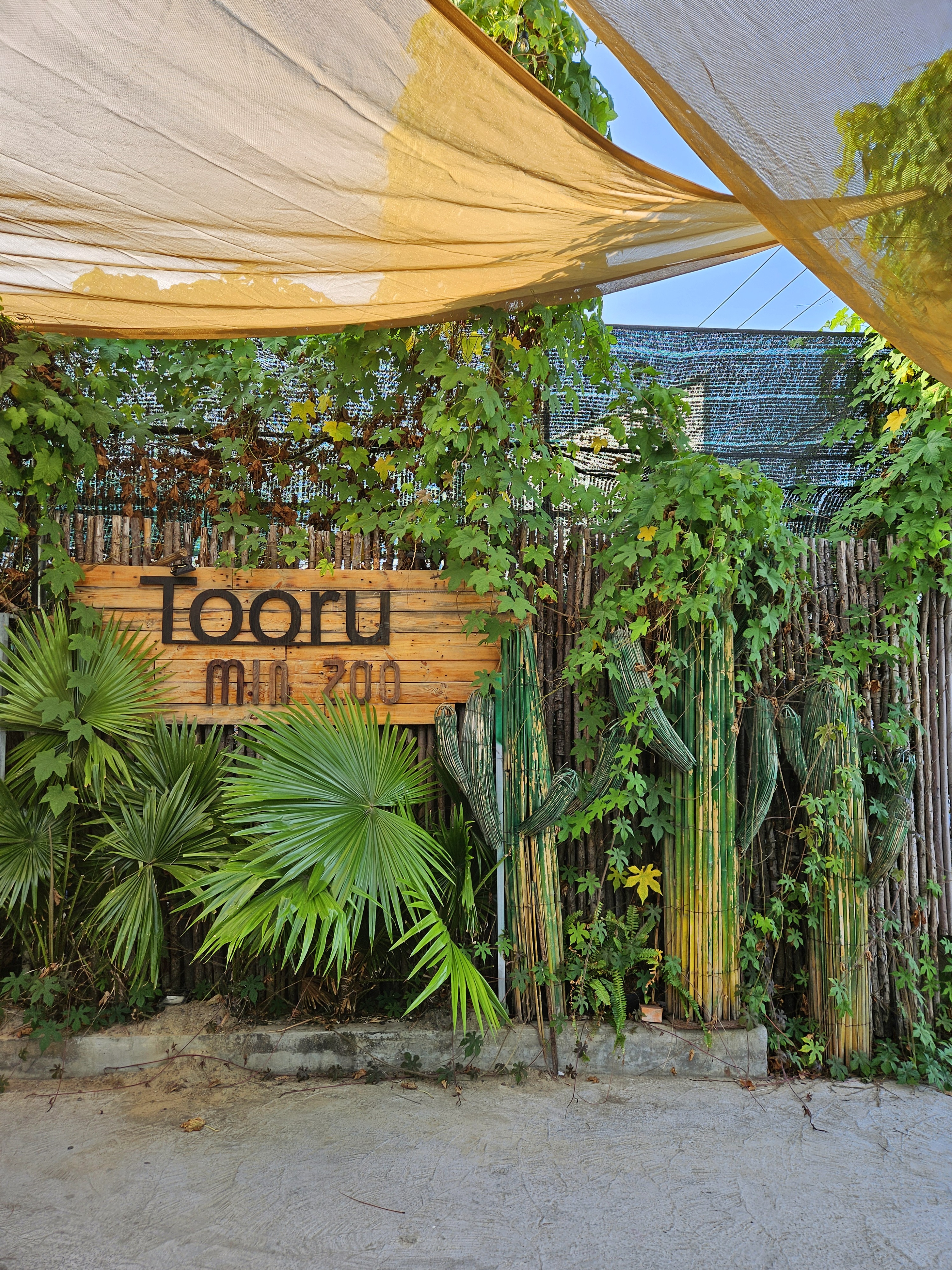 나트랑 트루커피 가게 모습