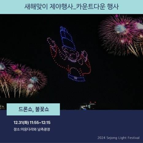 세종시 빛축제 카운트다운행사2