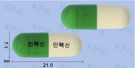 인펙신 캡슐 외형