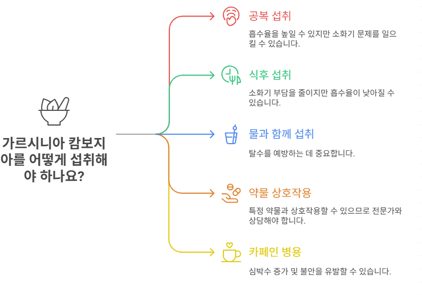 가르시아 캄보지아 섭취