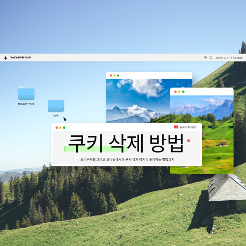PC 속도 2배 빨라지는 쿠키 삭제, 안 하면 계속 느려질 수 밖에 없어요
