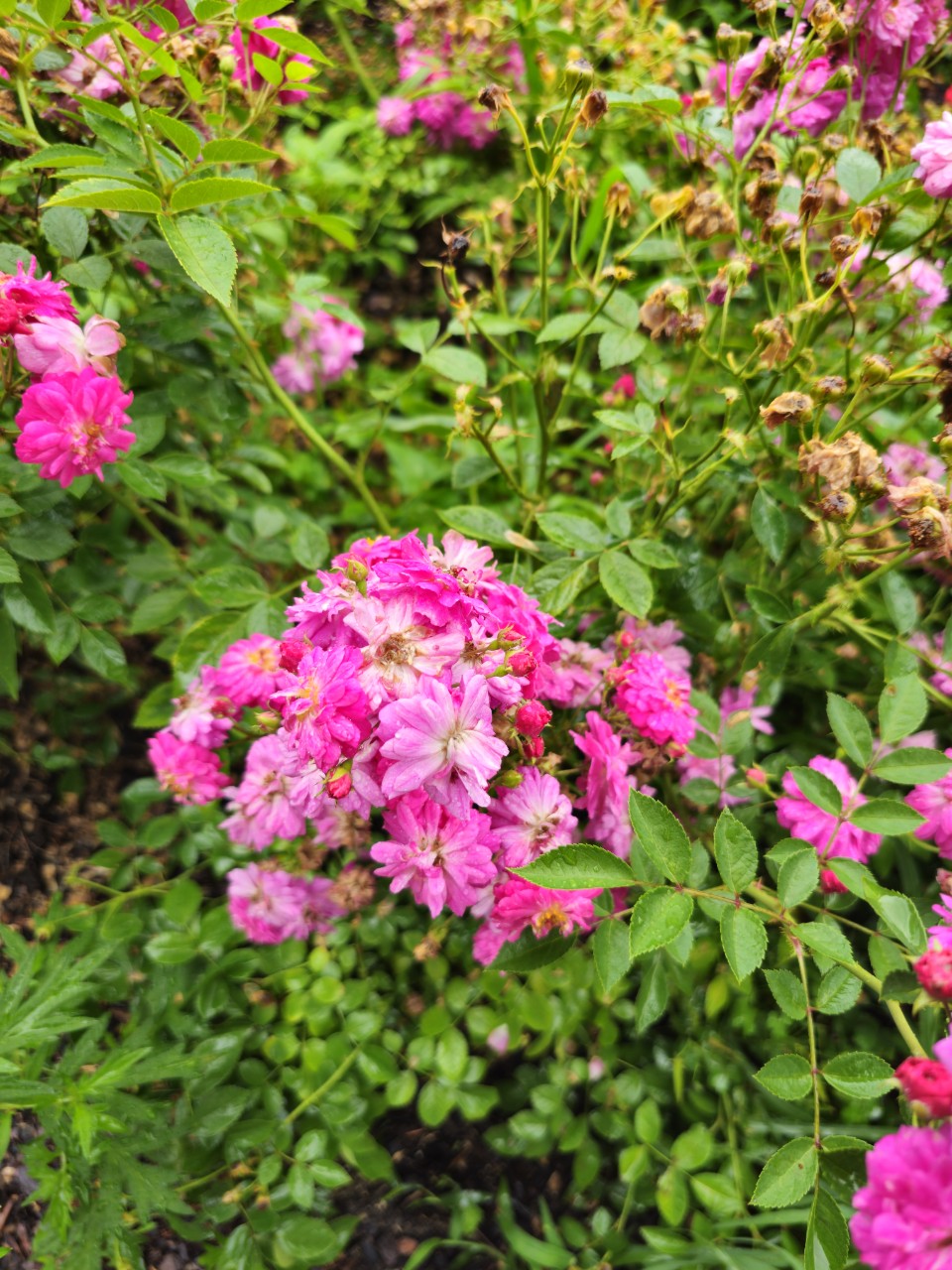 스웨덴·노르웨이 복지정책 집중분석