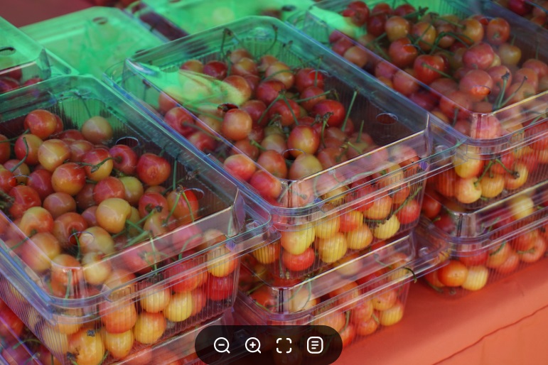 하동-열대과일-농장-박철경-열대정글농장-