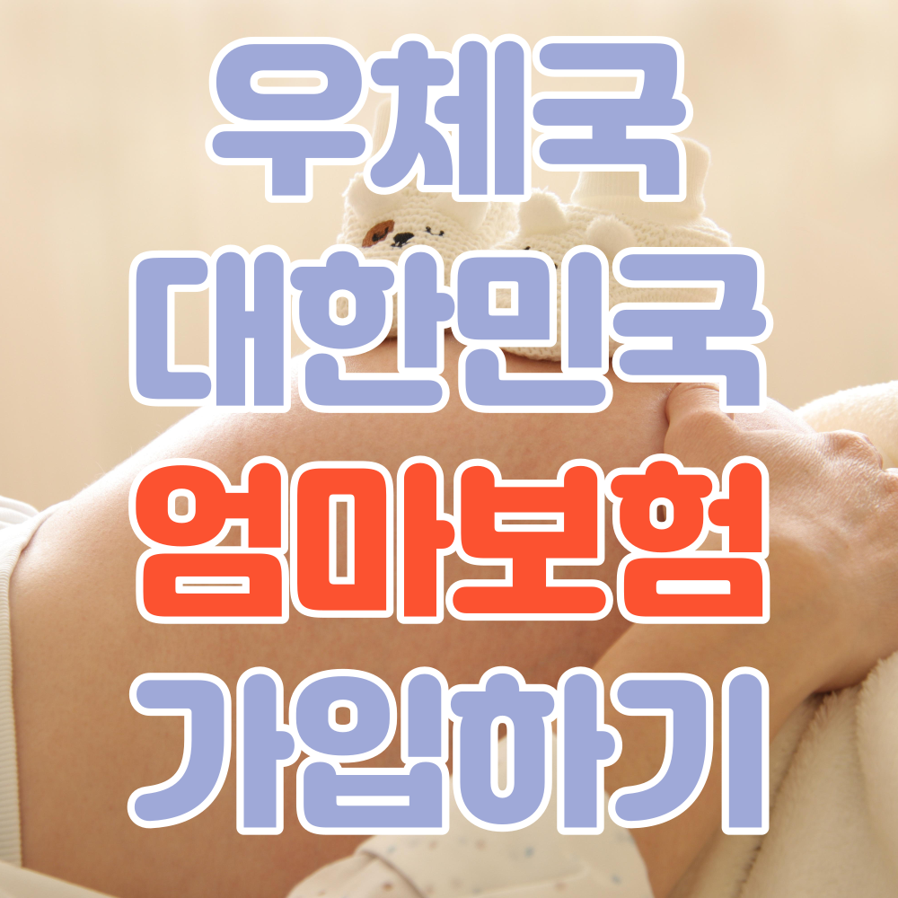 엄마보험ㅁㄴㅇㅁㄴ