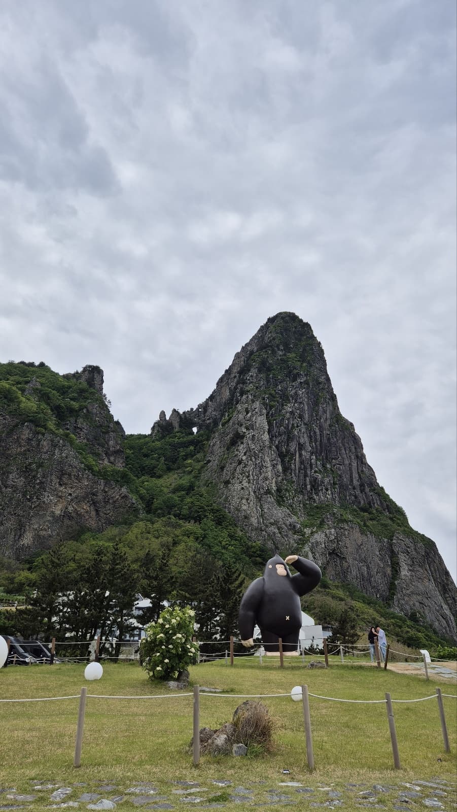 울라 울릉도