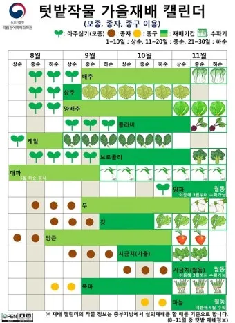 봄 텃밭 준비 토양 갈기 석회 퇴비 잡초 씨 제거_4