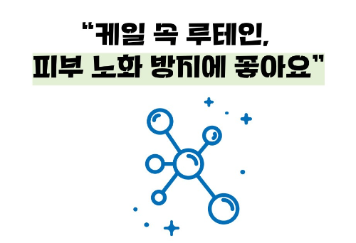 케일 효능