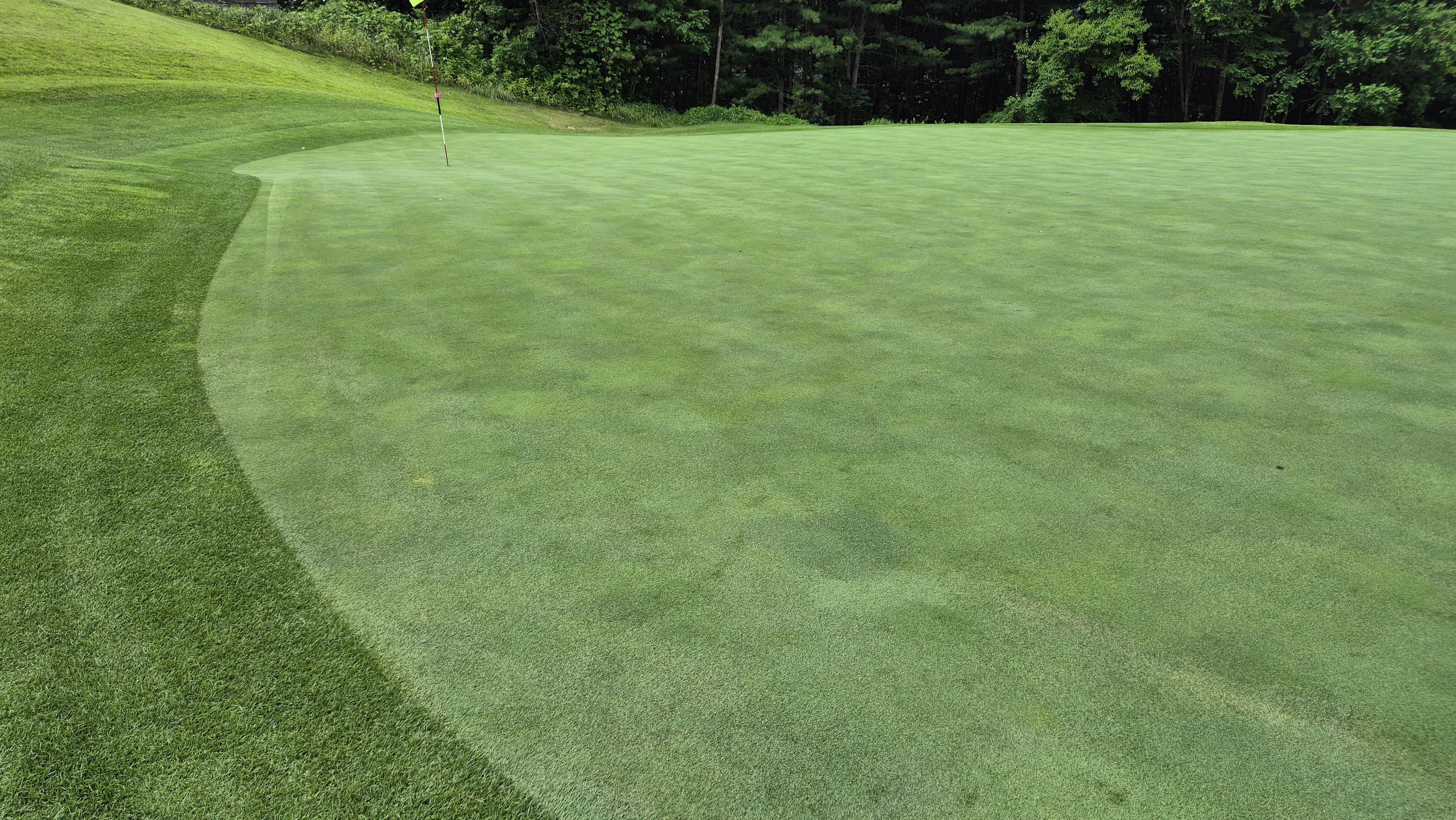 오너스gc 라운드 후기