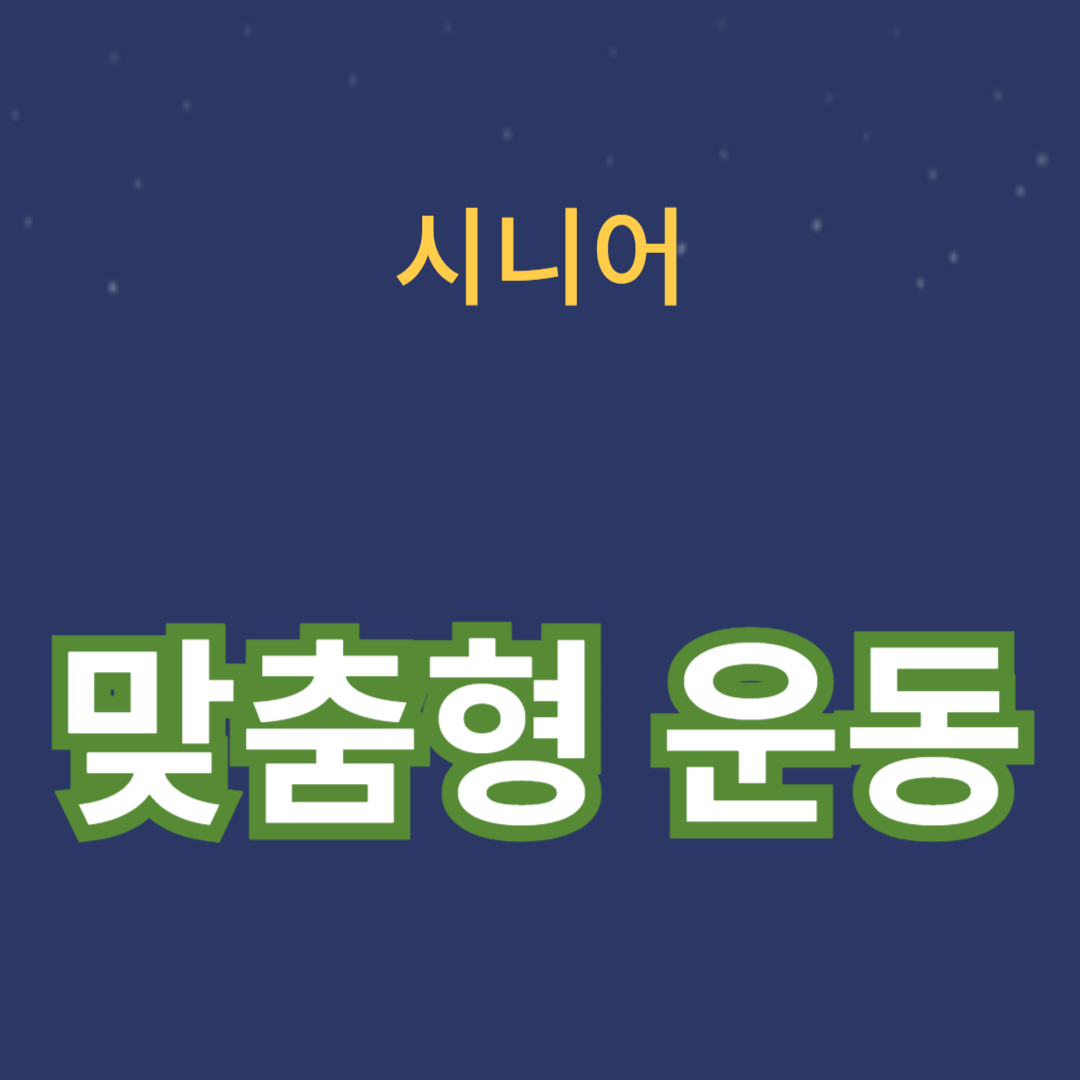 시니어를 위한 건강, 활력, 체력 증진을 위한 맞춤형 운동 가이드
