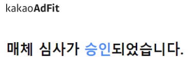 카카오 애드핏 승인