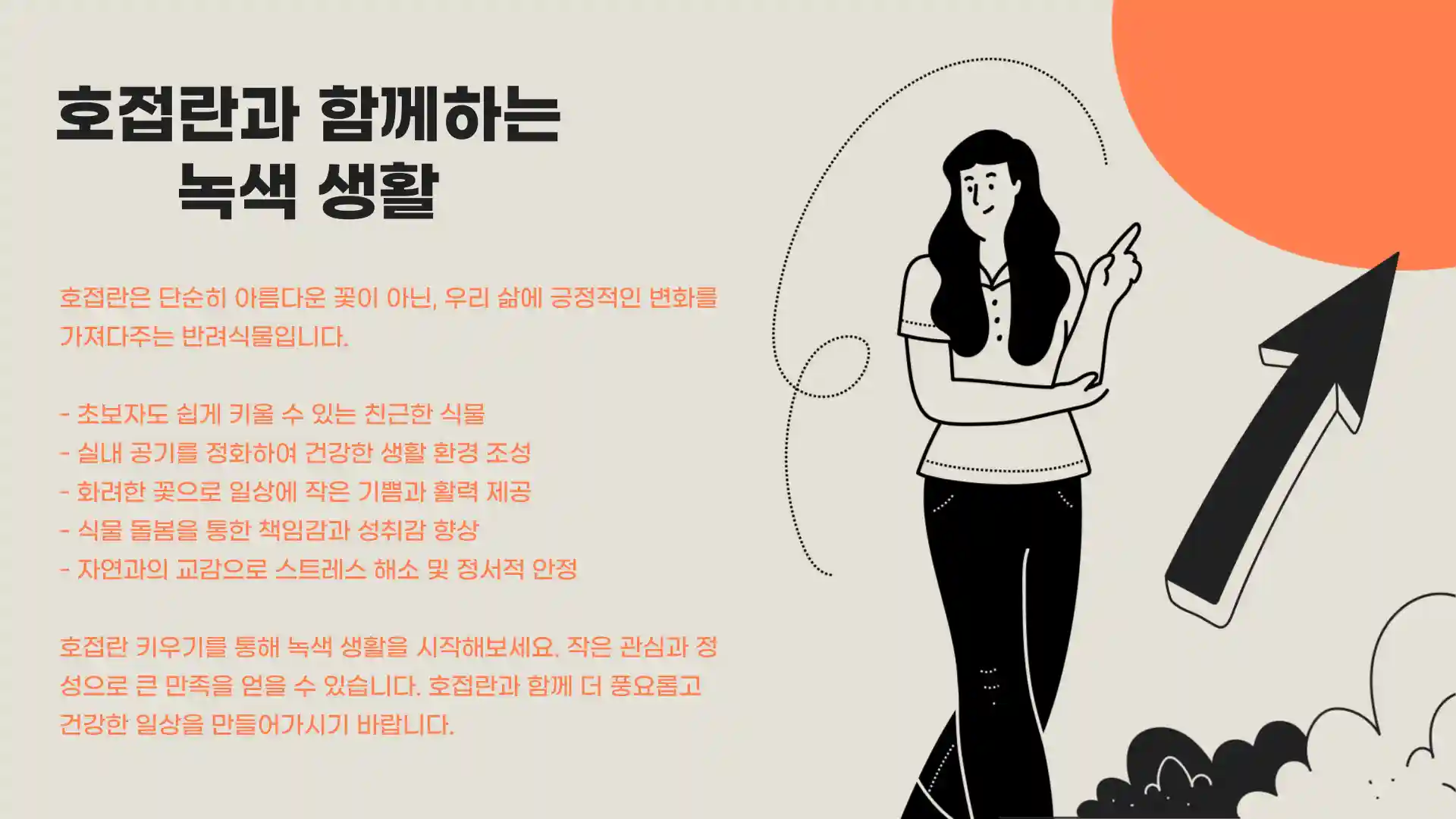 호접란 키우는 법 물주는 방법