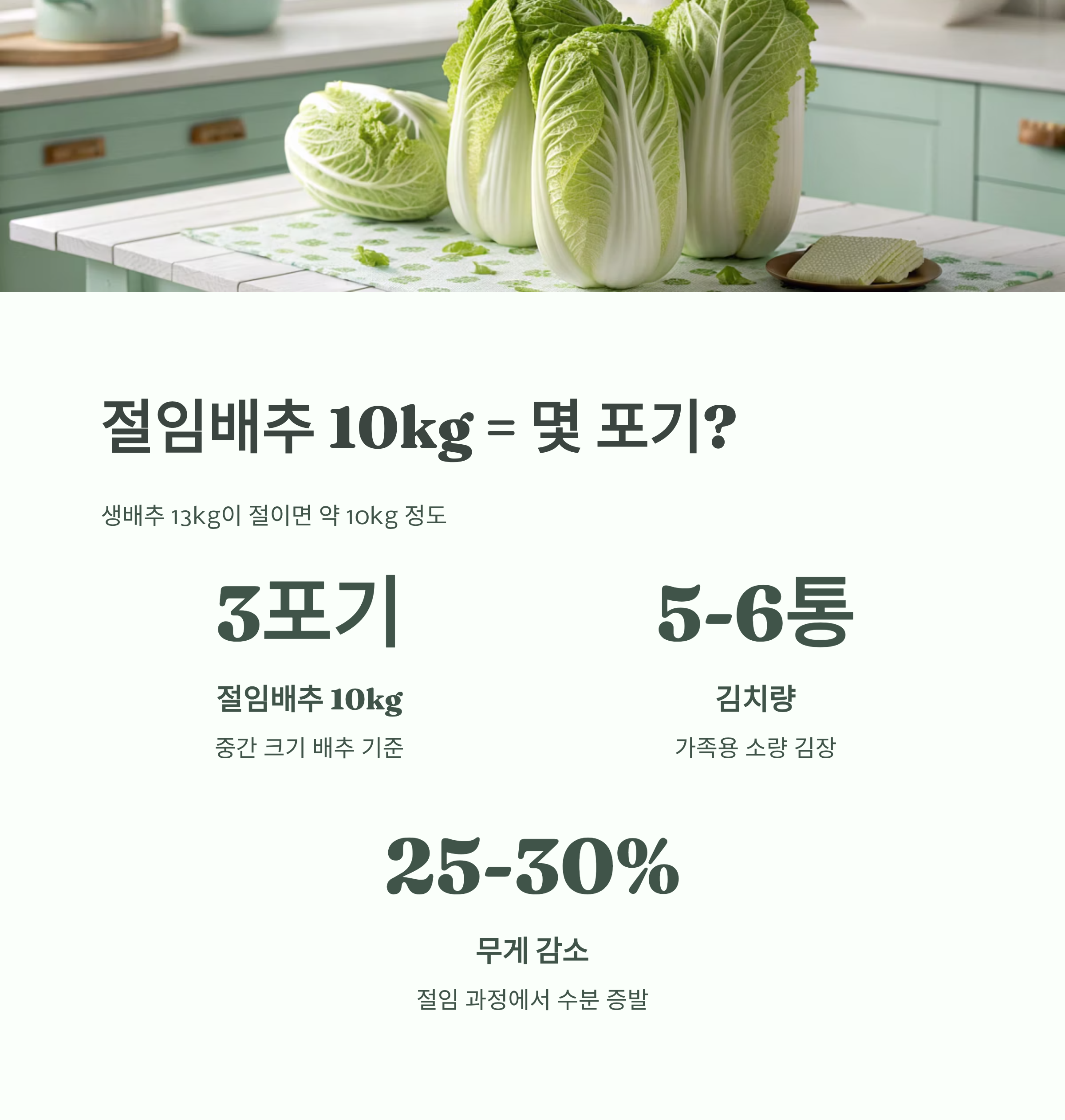 절임배추 10kg 몇 포기? ❘ 2025 절임배추 사전예약 꿀팁 총정리