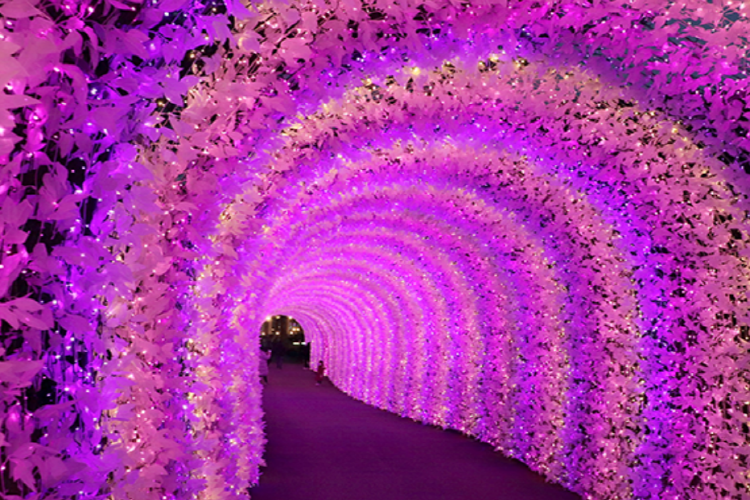 아침고요 수목원