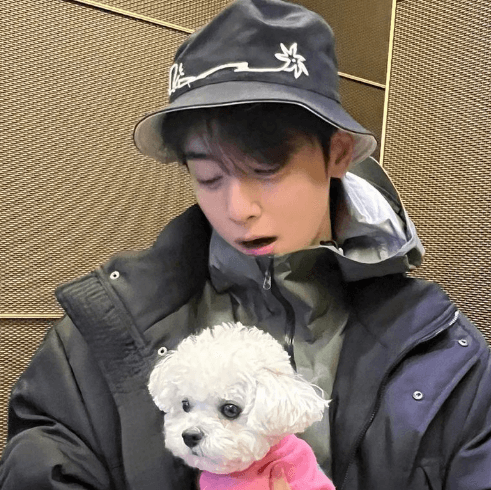 차은우 OST