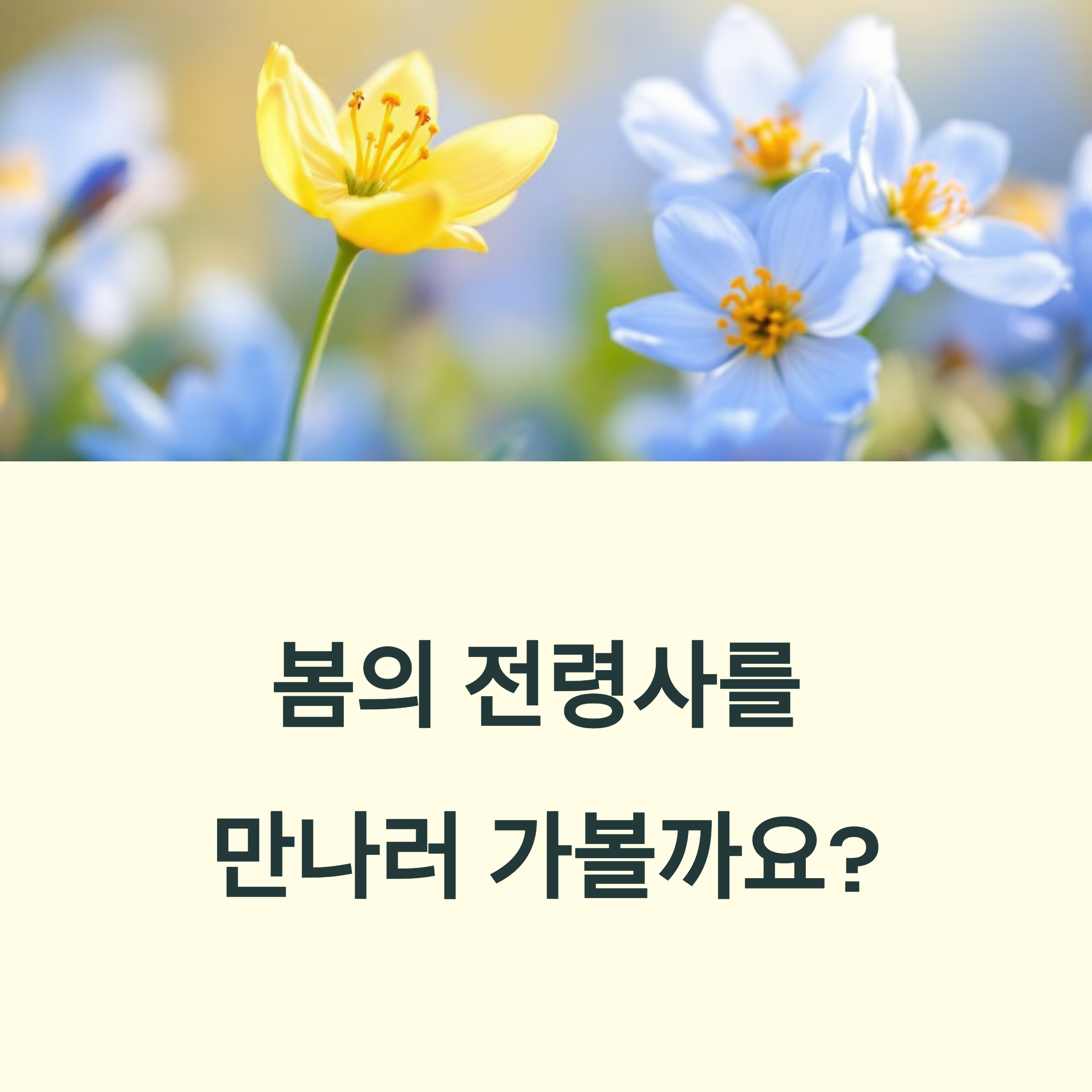인천대공원 봄나들이