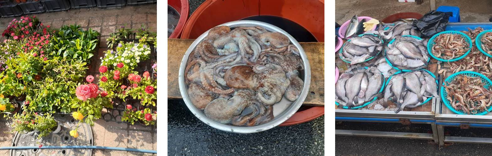 울진전통시장 사진