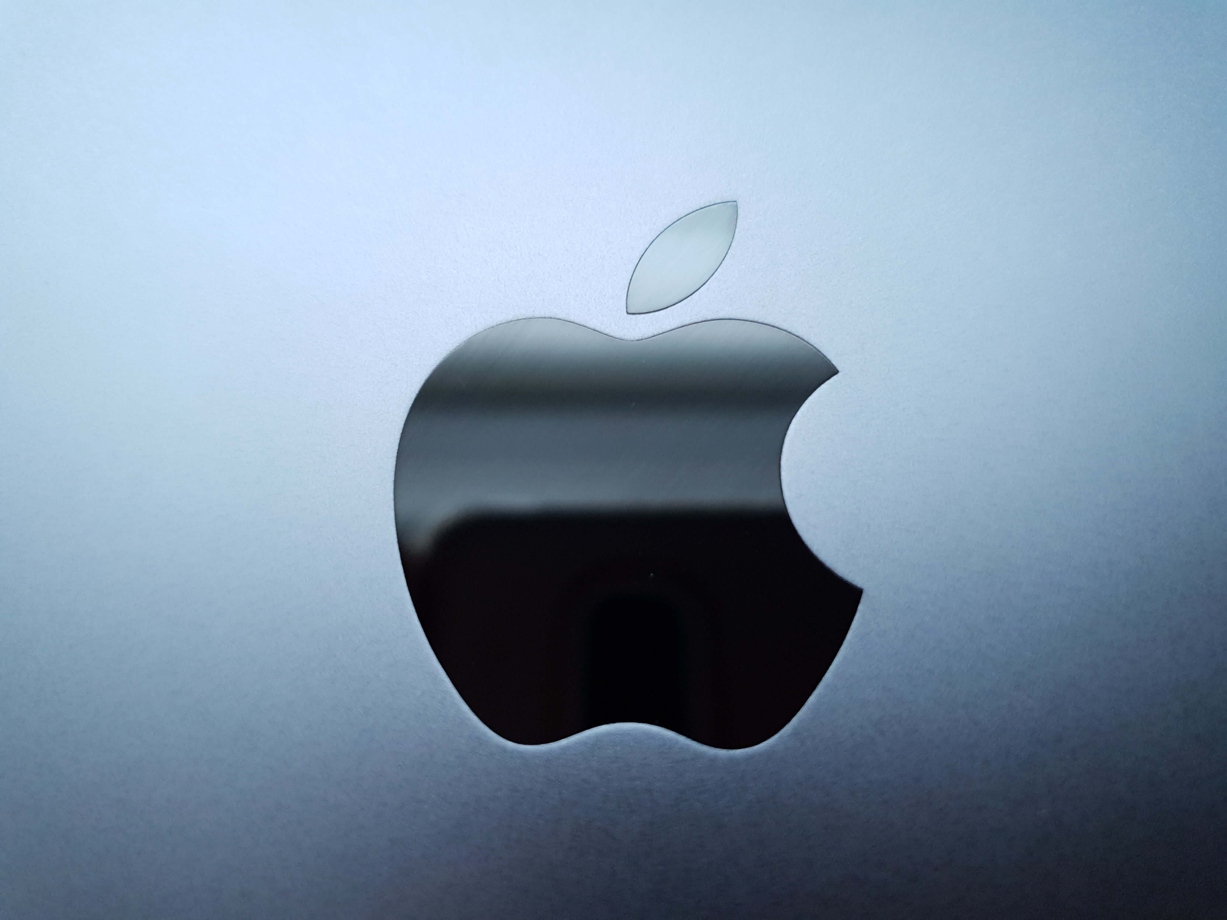 아이패드-미니5-그레이-색상