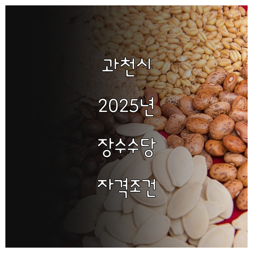 과천시 노인 지원 2025 장수수당 ..