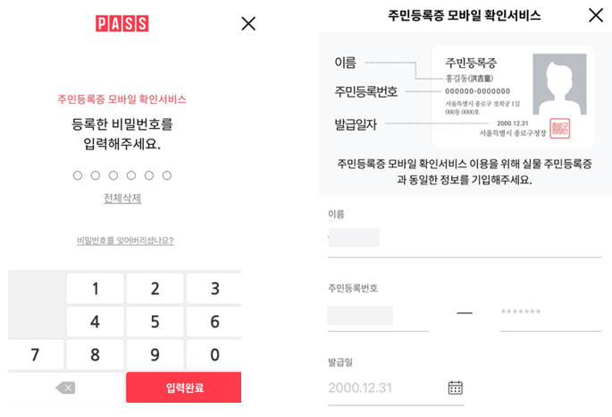 이름-주민등록번호-발급일자-입력