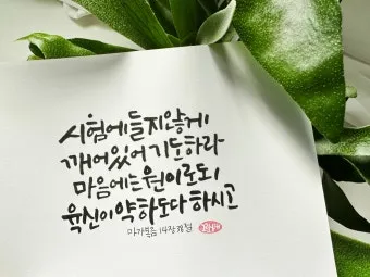 성경말씀 묵상 성경구절 문구 모음_14