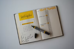 2025년 월급 실수령액 연봉 계산기