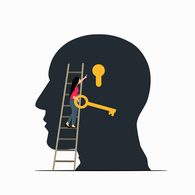 수면의 기능 및 단계별 뇌파 활동과 꿈