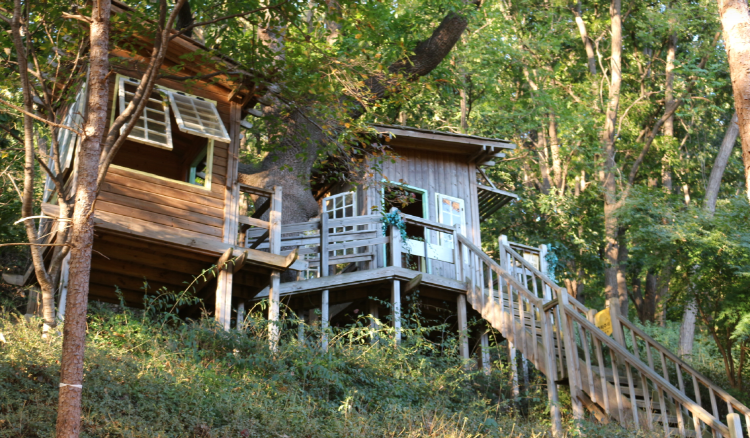 파주 율곡수목원