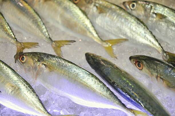 생선냄새증후군, 트리메틸아민뇨증이라고 들어 보셨나요? 사람마다 다르지만 끊임없이 냄새를 풍기는 사람들이 있습니다. 땀도 나지 않고 특별한 이상이 없다면 생선냄새증후군을 의심해볼 수밖에 없습니다. 생선 냄새 증후군은 과거에는 인식되지 않았으나 요즘에는 사람들에게 관심이 생기기 시작했습니다.