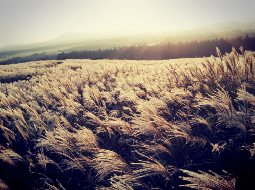 가을 여행지 추천
