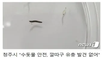 여름철 욕실 세균 곰팡이 청소 끝 관리법과 예방 팁 완벽 위생 가이드_2