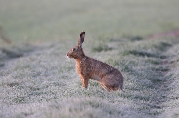 2025년 6월 토끼띠 생년별 운세