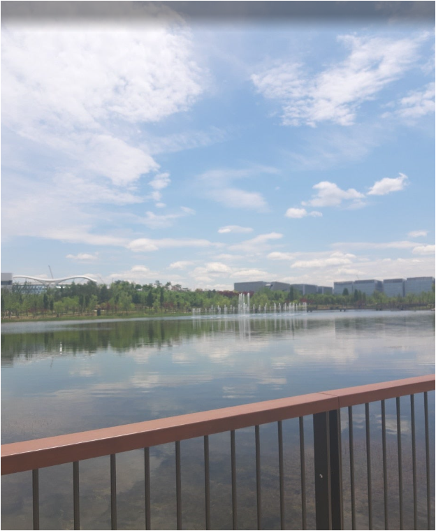 서울식물원호수