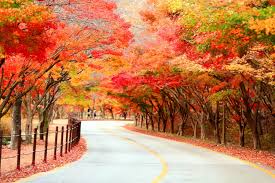 오색약수 설악산 단풍