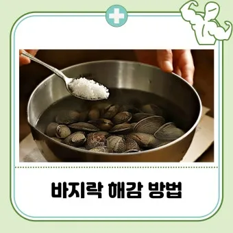 바지락 해감시키는법 깨끗하게 해감하는 방법_8