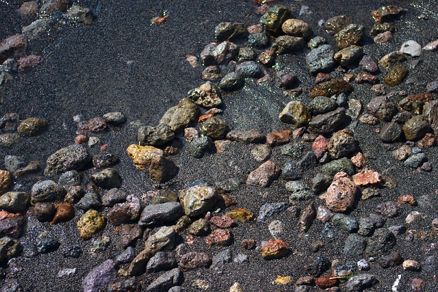 2025년 엘로우스톤 여행 필수 코스 [자연의 경이, 엘로우스톤의 모든 것]