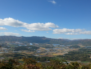 숲나들e 홈페이지 실시간 예약방법