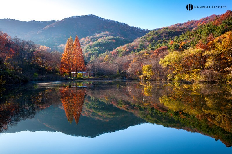 경기도 포천 산정호수 단풍