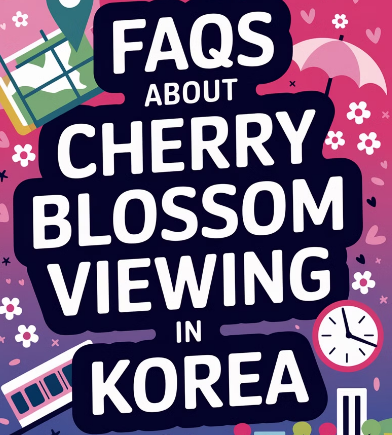 제주도 벚꽃 개화시기 2025