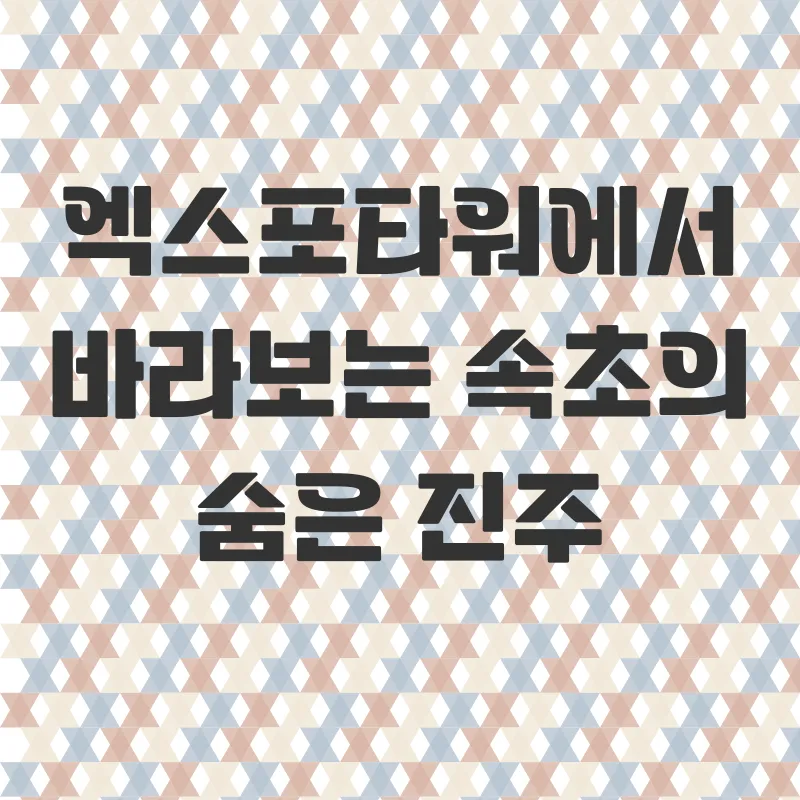 속초 청초호수 여행_3
