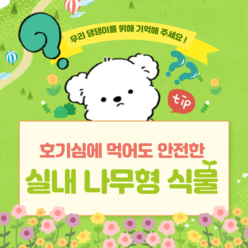 반려견에게 무독성인 나무형 식물