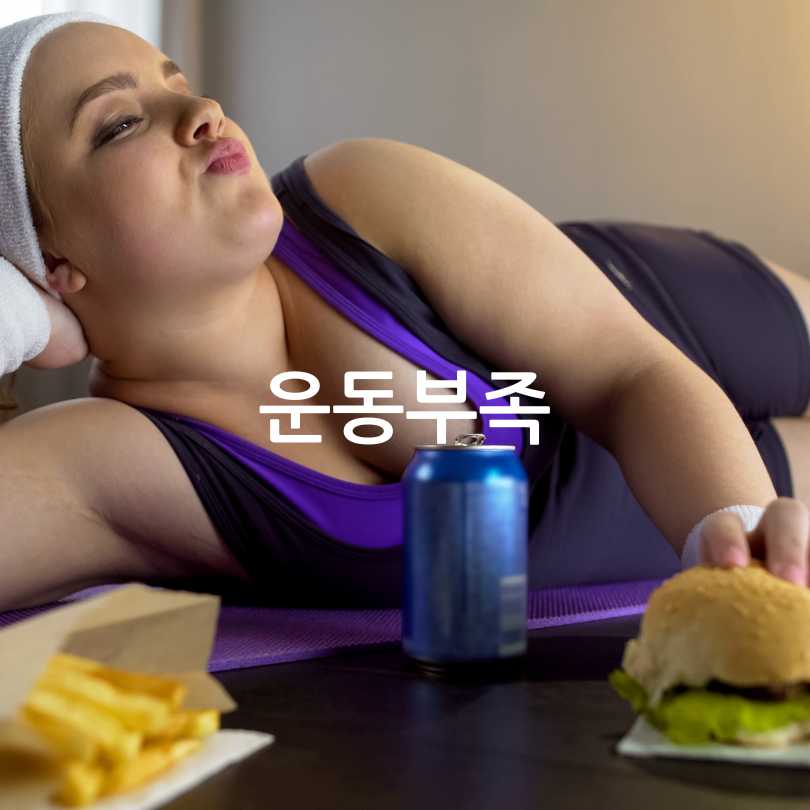 무릎통증관절운동영양제