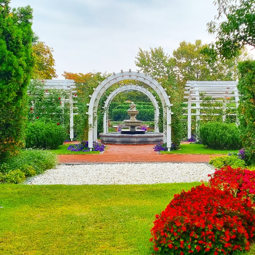 순천만 갈대축제